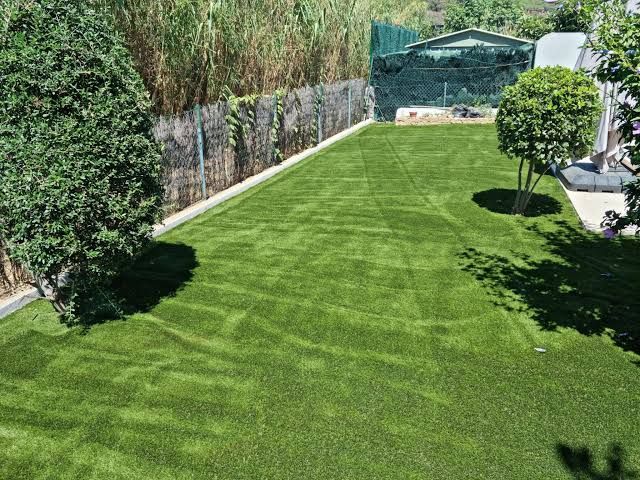 Jardin engazonné bordé de haies